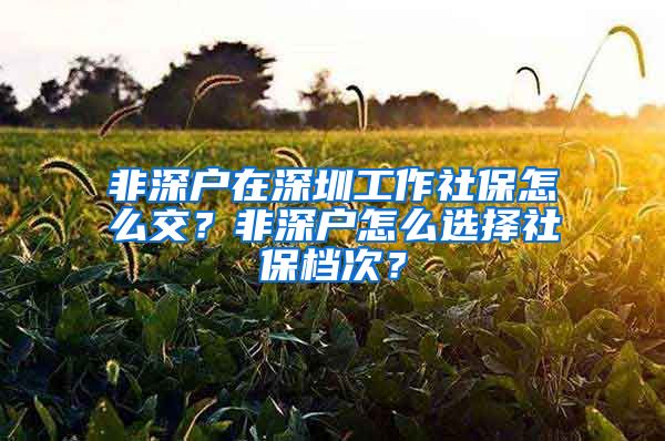 非深户在深圳工作社保怎么交？非深户怎么选择社保档次？