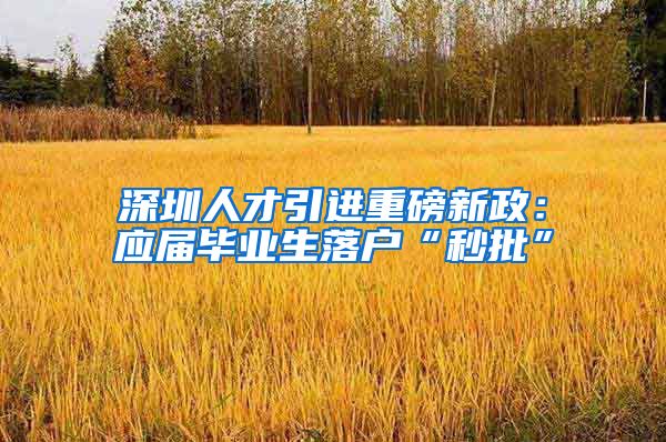 深圳人才引进重磅新政：应届毕业生落户“秒批”