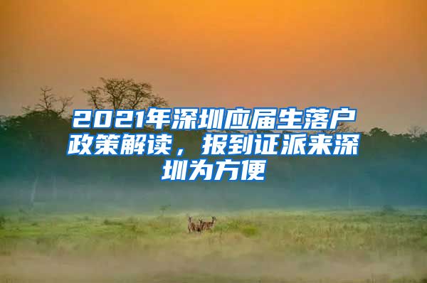 2021年深圳应届生落户政策解读，报到证派来深圳为方便