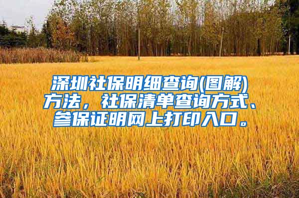 深圳社保明细查询(图解)方法，社保清单查询方式、参保证明网上打印入口。