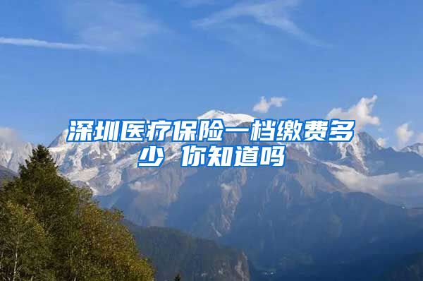 深圳医疗保险一档缴费多少 你知道吗