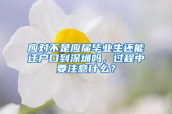 应对不是应届毕业生还能迁户口到深圳吗，过程中要注意什么？