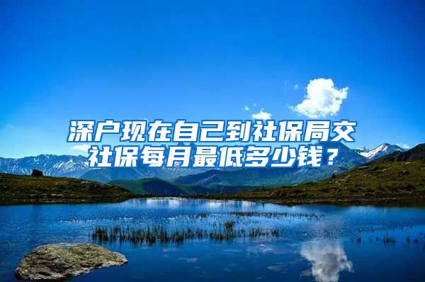 深户现在自己到社保局交社保每月最低多少钱？