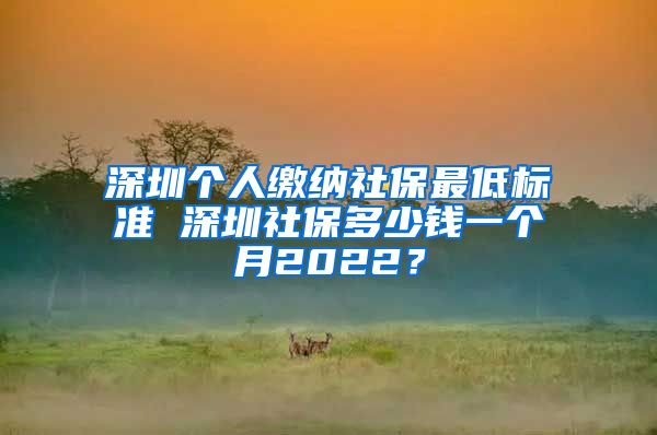 深圳个人缴纳社保最低标准 深圳社保多少钱一个月2022？