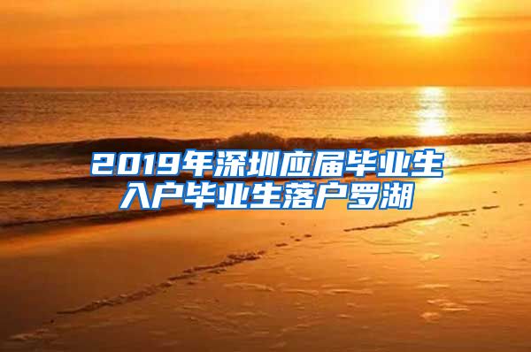 2019年深圳应届毕业生入户毕业生落户罗湖