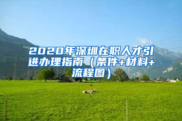 2020年深圳在职人才引进办理指南（条件+材料+流程图）