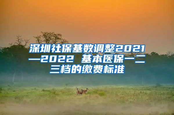 深圳社保基数调整2021—2022 基本医保一二三档的缴费标准