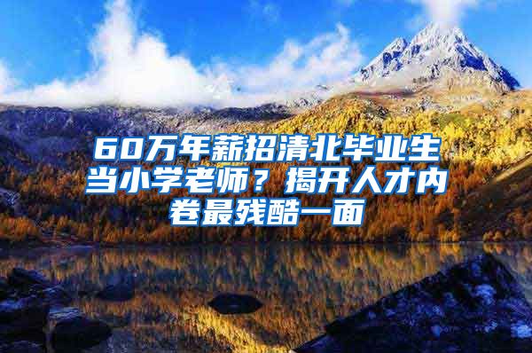 60万年薪招清北毕业生当小学老师？揭开人才内卷最残酷一面