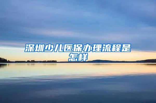 深圳少儿医保办理流程是怎样