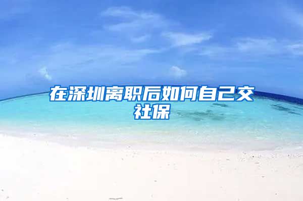 在深圳离职后如何自己交社保