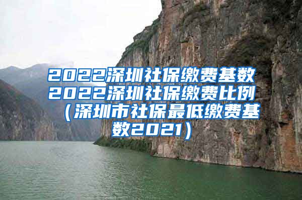 2022深圳社保缴费基数2022深圳社保缴费比例（深圳市社保最低缴费基数2021）