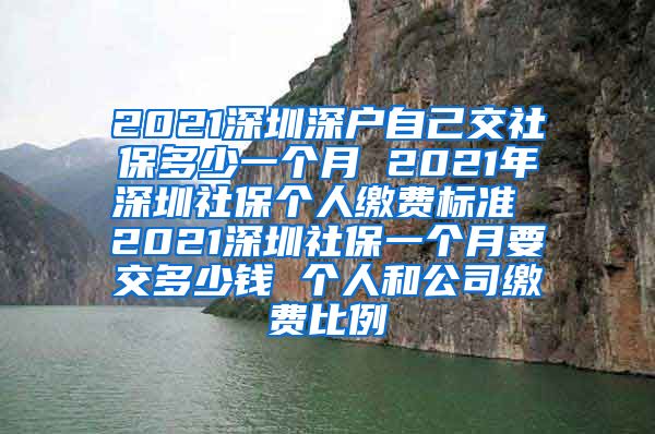 2021深圳深户自己交社保多少一个月 2021年深圳社保个人缴费标准 2021深圳社保一个月要交多少钱 个人和公司缴费比例