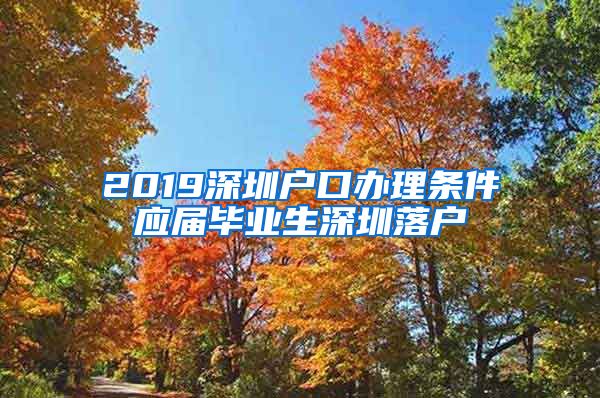 2019深圳户口办理条件应届毕业生深圳落户