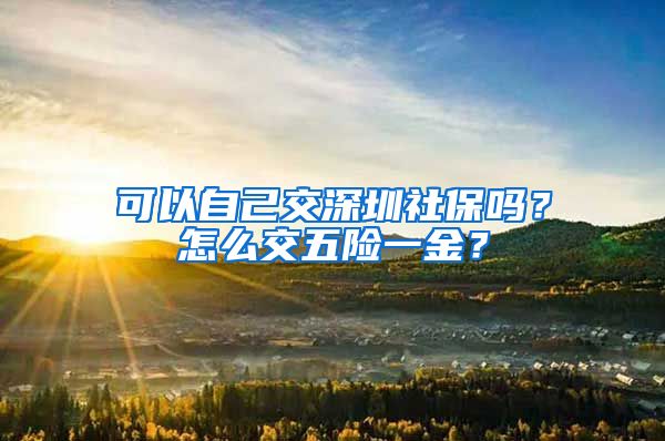 可以自己交深圳社保吗？怎么交五险一金？