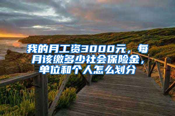 我的月工资3000元，每月该缴多少社会保险金，单位和个人怎么划分