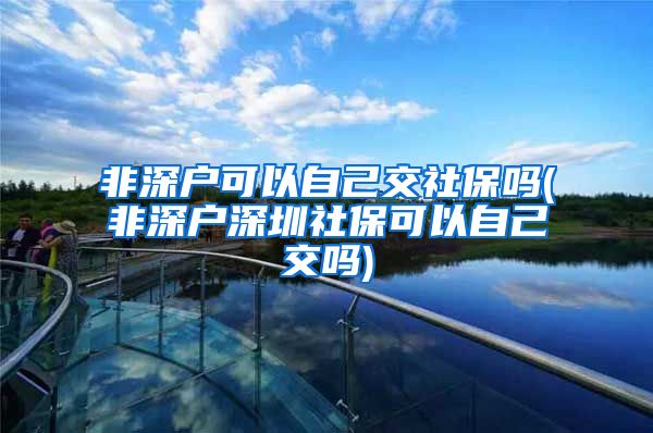 非深户可以自己交社保吗(非深户深圳社保可以自己交吗)