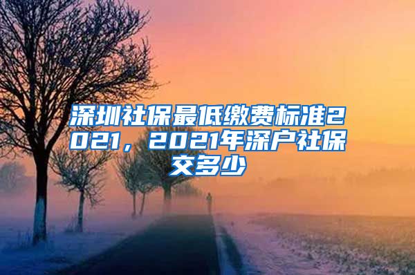 深圳社保最低缴费标准2021，2021年深户社保交多少