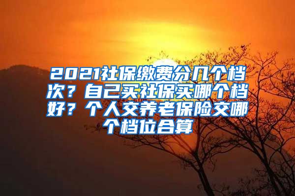 2021社保缴费分几个档次？自己买社保买哪个档好？个人交养老保险交哪个档位合算