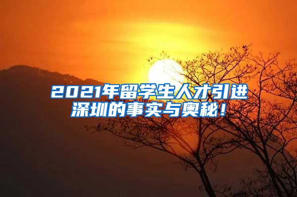 2021年留学生人才引进深圳的事实与奥秘！