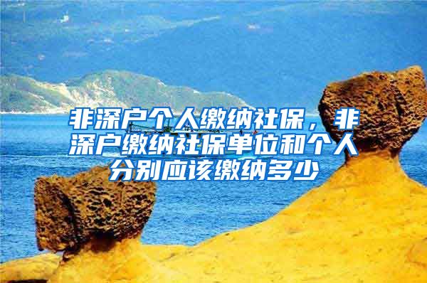 非深户个人缴纳社保，非深户缴纳社保单位和个人分别应该缴纳多少