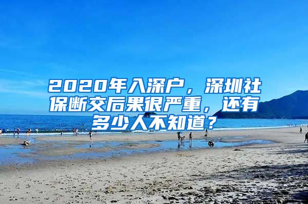 2020年入深户，深圳社保断交后果很严重，还有多少人不知道？