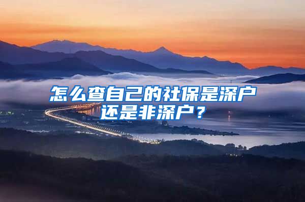 怎么查自己的社保是深户还是非深户？