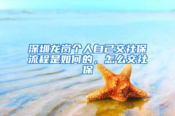 深圳龙岗个人自己交社保流程是如何的，怎么交社保