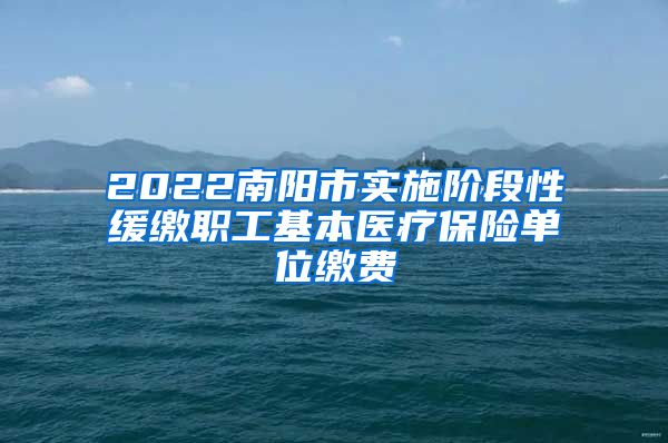 2022南阳市实施阶段性缓缴职工基本医疗保险单位缴费