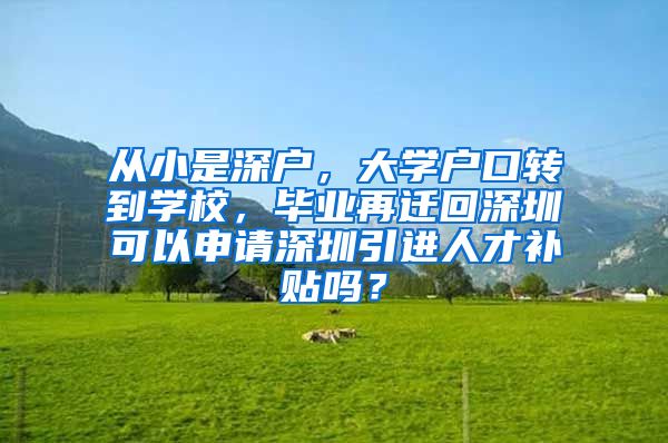 从小是深户，大学户口转到学校，毕业再迁回深圳可以申请深圳引进人才补贴吗？