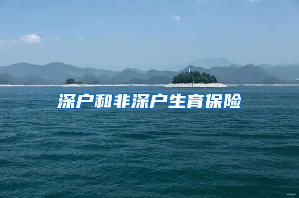 深户和非深户生育保险