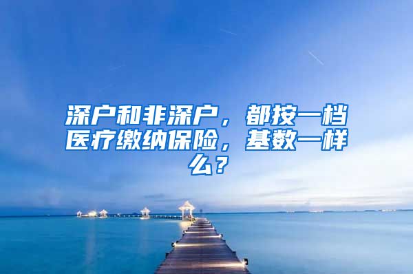 深户和非深户，都按一档医疗缴纳保险，基数一样么？