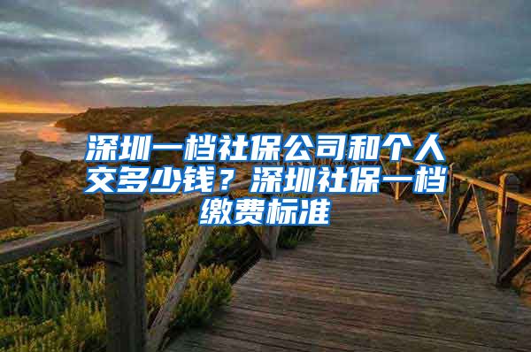 深圳一档社保公司和个人交多少钱？深圳社保一档缴费标准