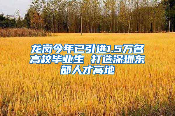 龙岗今年已引进1.5万名高校毕业生 打造深圳东部人才高地