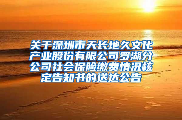 关于深圳市天长地久文化产业股份有限公司罗湖分公司社会保险缴费情况核定告知书的送达公告