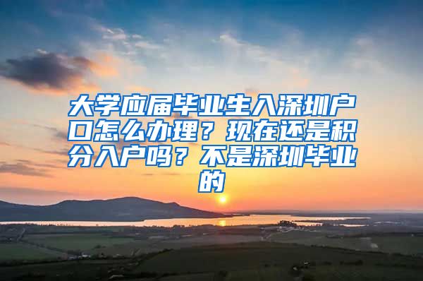 大学应届毕业生入深圳户口怎么办理？现在还是积分入户吗？不是深圳毕业的