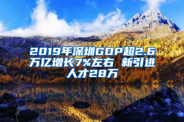 2019年深圳GDP超2.6万亿增长7%左右 新引进人才28万