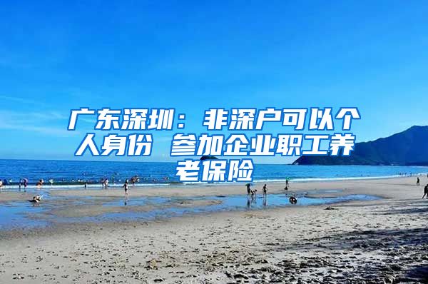 广东深圳：非深户可以个人身份 参加企业职工养老保险