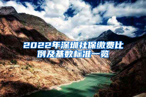 2022年深圳社保缴费比例及基数标准一览