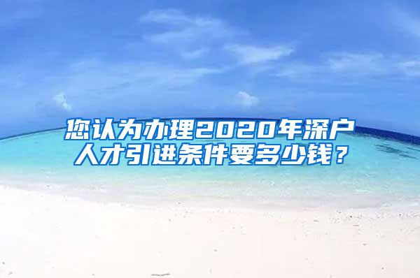 您认为办理2020年深户人才引进条件要多少钱？