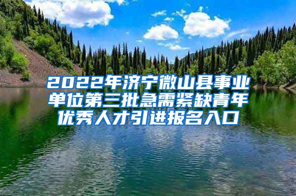 2022年济宁微山县事业单位第三批急需紧缺青年优秀人才引进报名入口