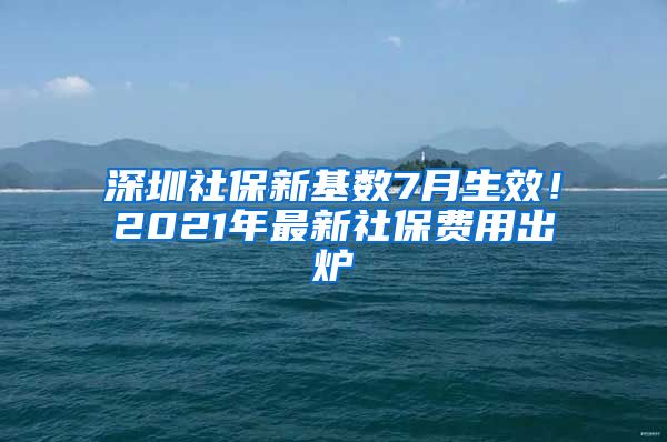 深圳社保新基数7月生效！2021年最新社保费用出炉