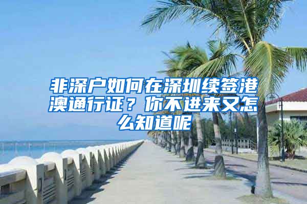 非深户如何在深圳续签港澳通行证？你不进来又怎么知道呢