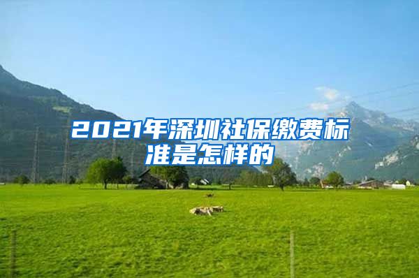 2021年深圳社保缴费标准是怎样的