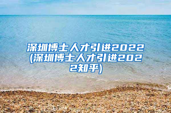 深圳博士人才引进2022(深圳博士人才引进2022知乎)