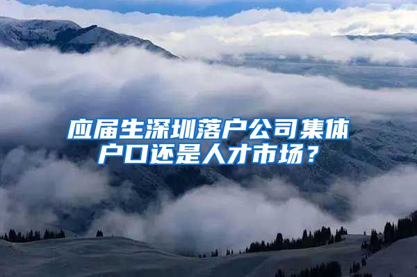 应届生深圳落户公司集体户口还是人才市场？