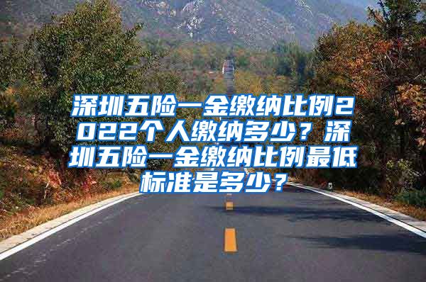 深圳五险一金缴纳比例2022个人缴纳多少？深圳五险一金缴纳比例最低标准是多少？