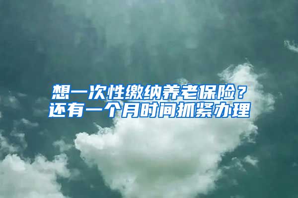 想一次性缴纳养老保险？还有一个月时间抓紧办理