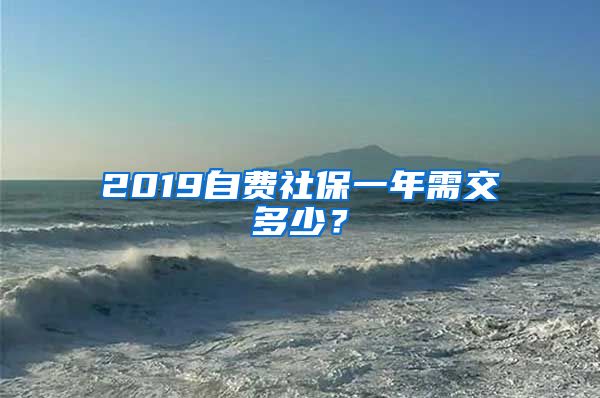 2019自费社保一年需交多少？