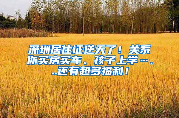 深圳居住证逆天了！关系你买房买车、孩子上学…...还有超多福利！