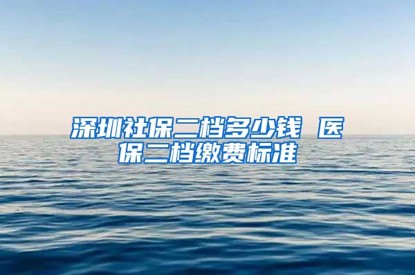 深圳社保二档多少钱 医保二档缴费标准